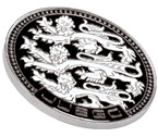 accessori per il poker - Juego - Card Guard England Lions